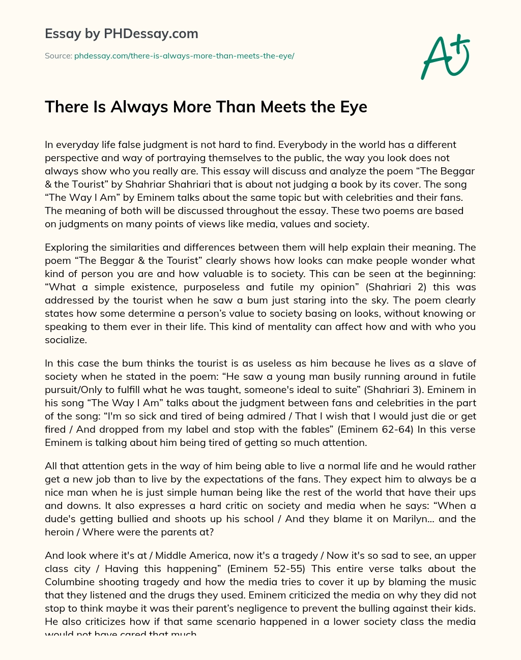 There Is Always More Than Meets the Eye essay