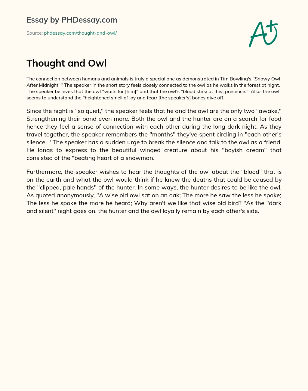 Thought and Owl essay