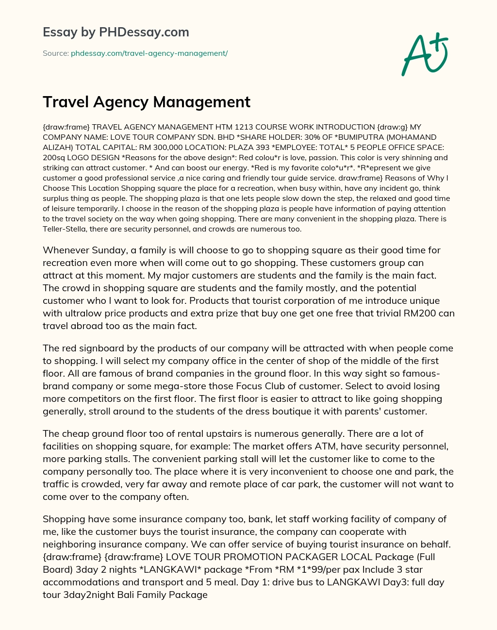 Travel Agency Management essay