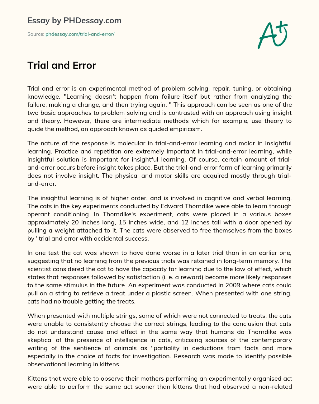 Trial and Error essay