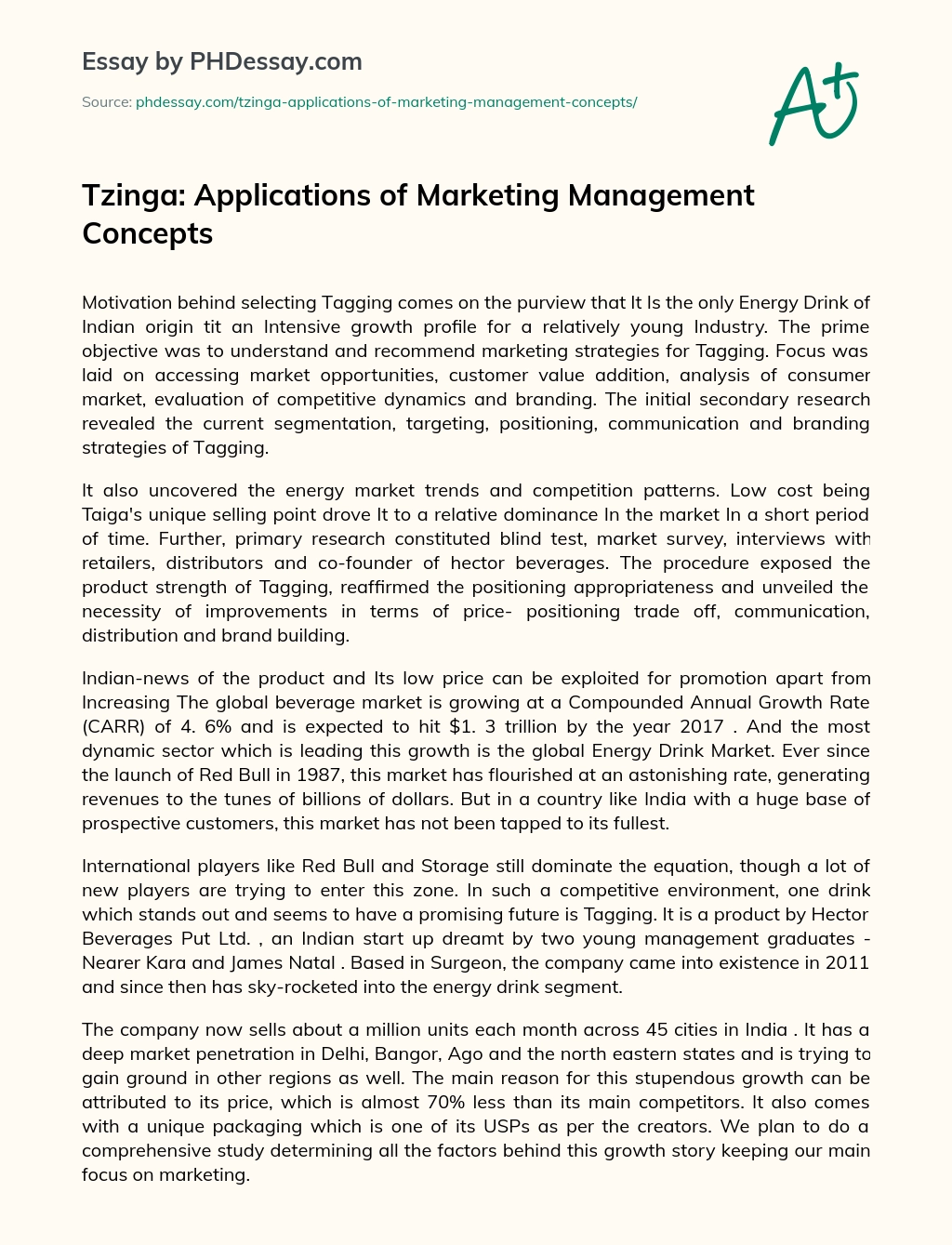 Tzinga: Applications of Marketing Management Concepts essay