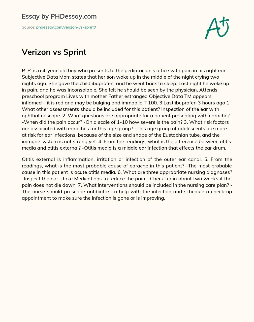 Verizon vs Sprint essay
