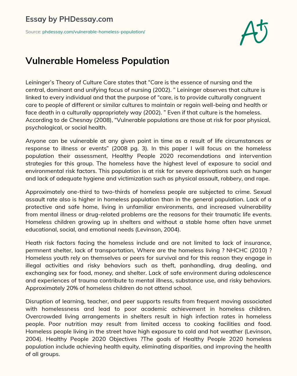 Vulnerable Homeless Population essay