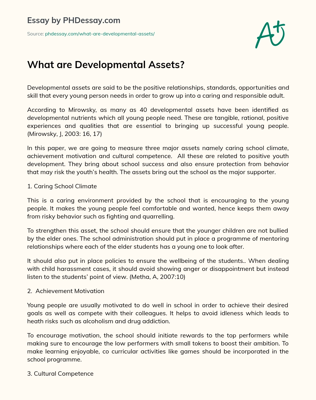 What are Developmental Assets? essay