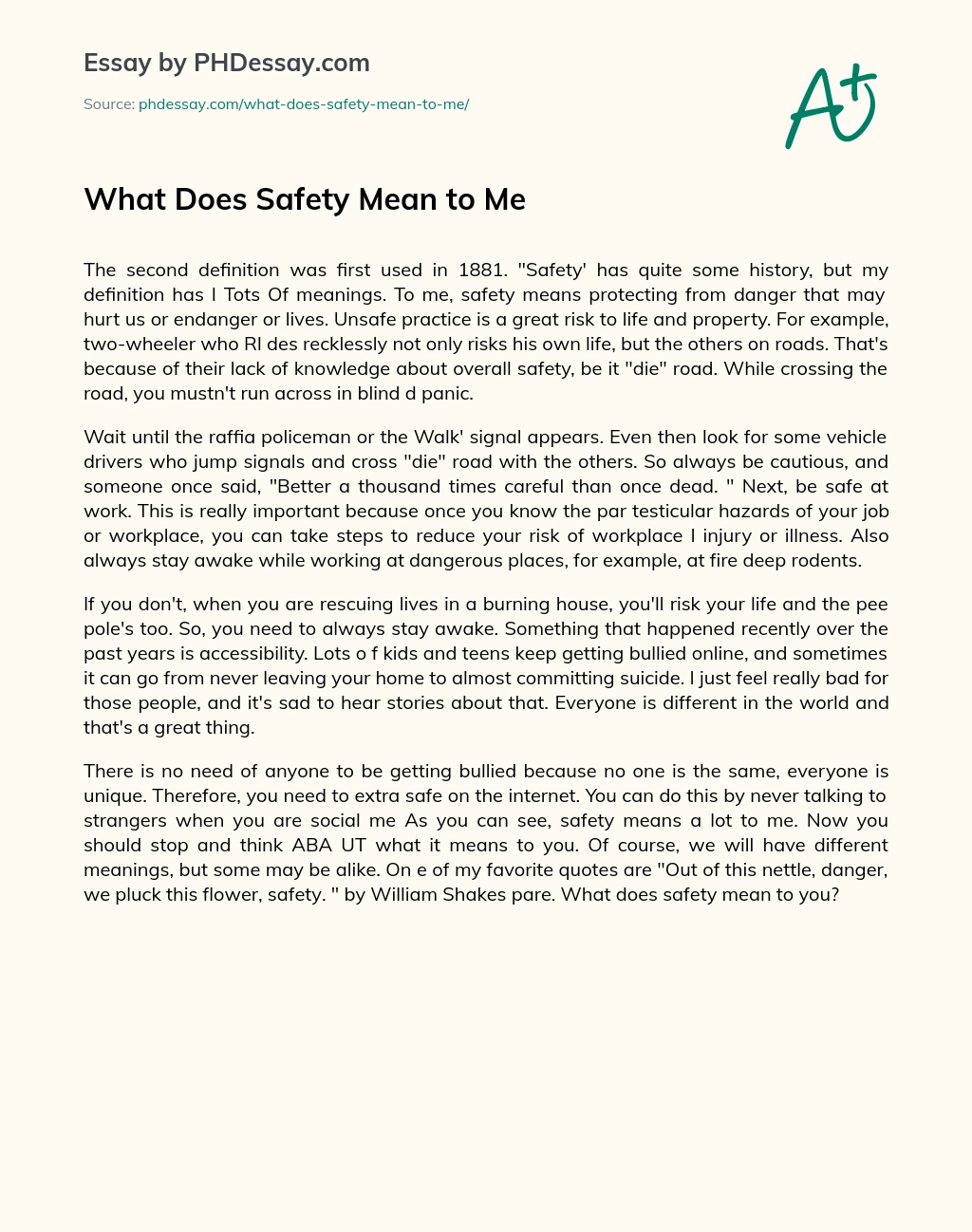 What Does Safety Mean to Me essay