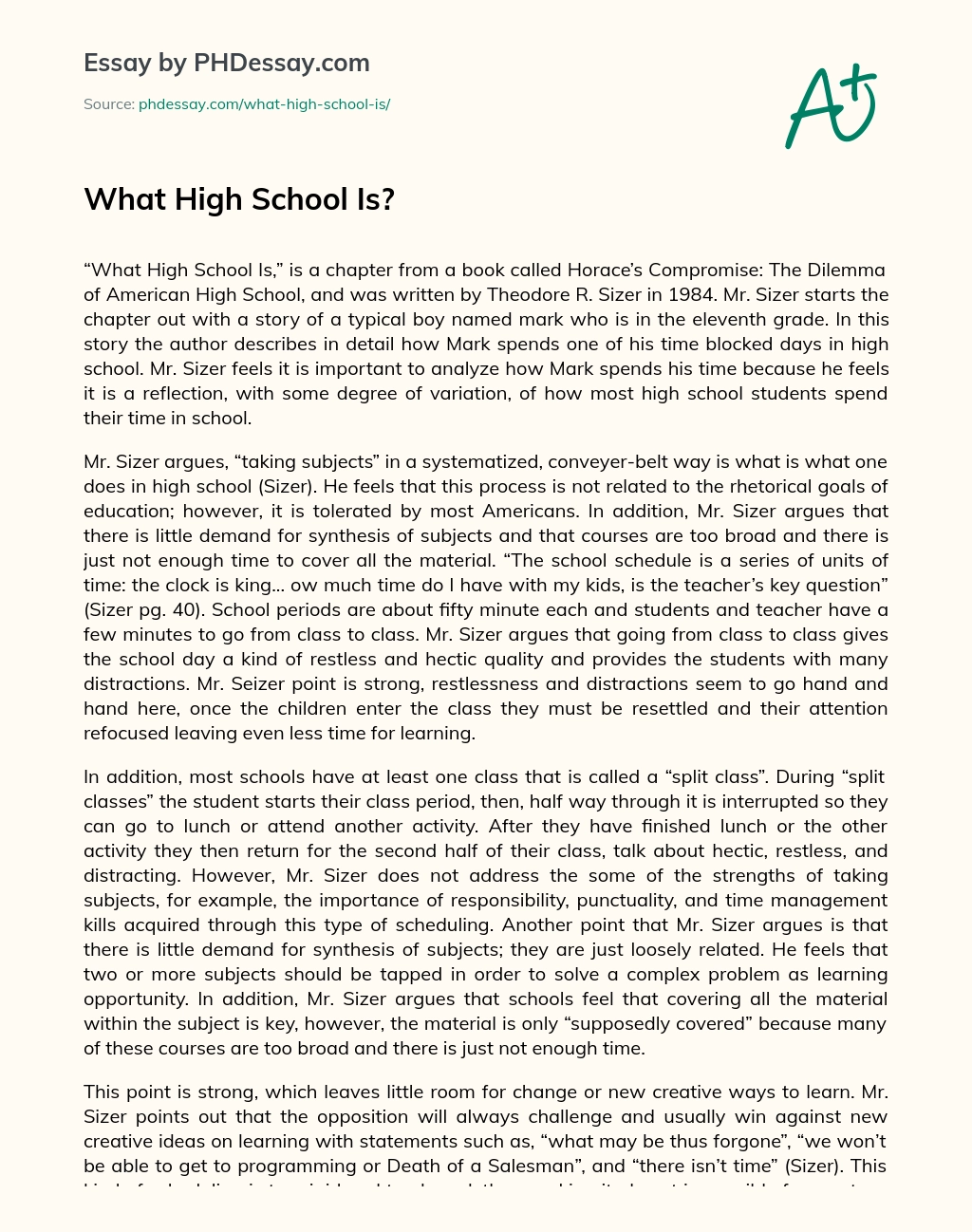What High School Is? essay