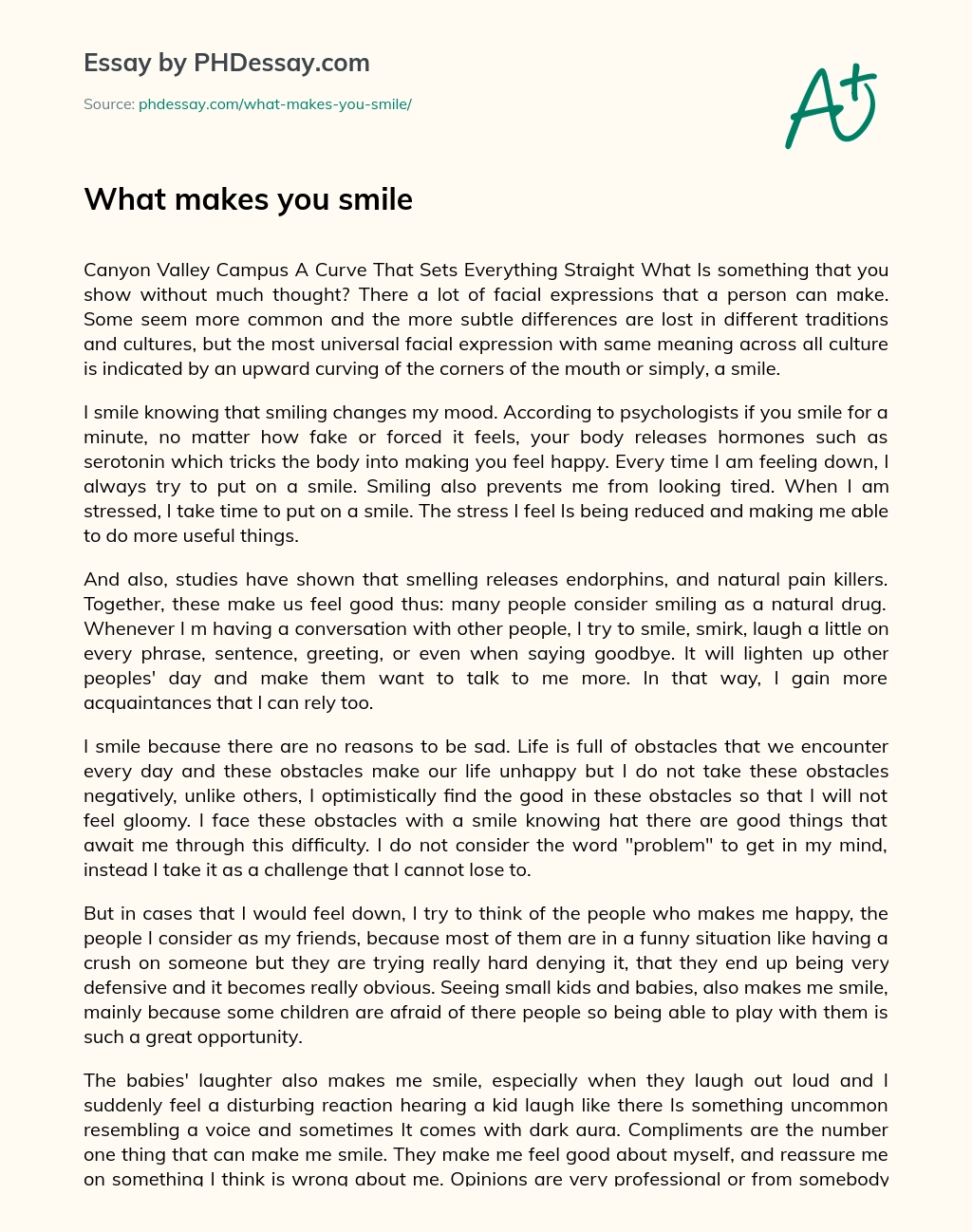 What makes you smile essay