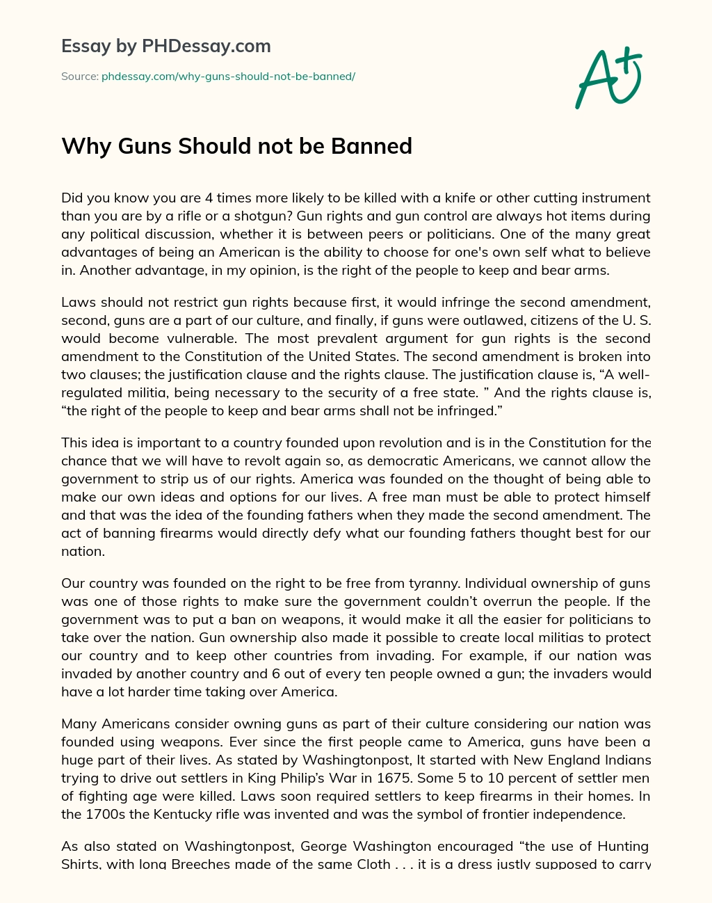 Why Guns Should not be Banned essay