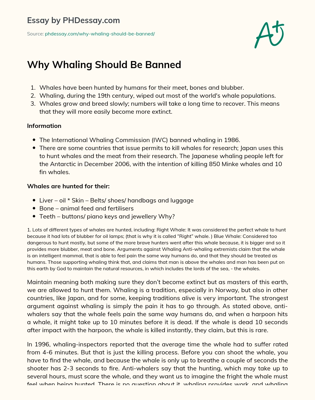 Why Whaling Should Be Banned essay