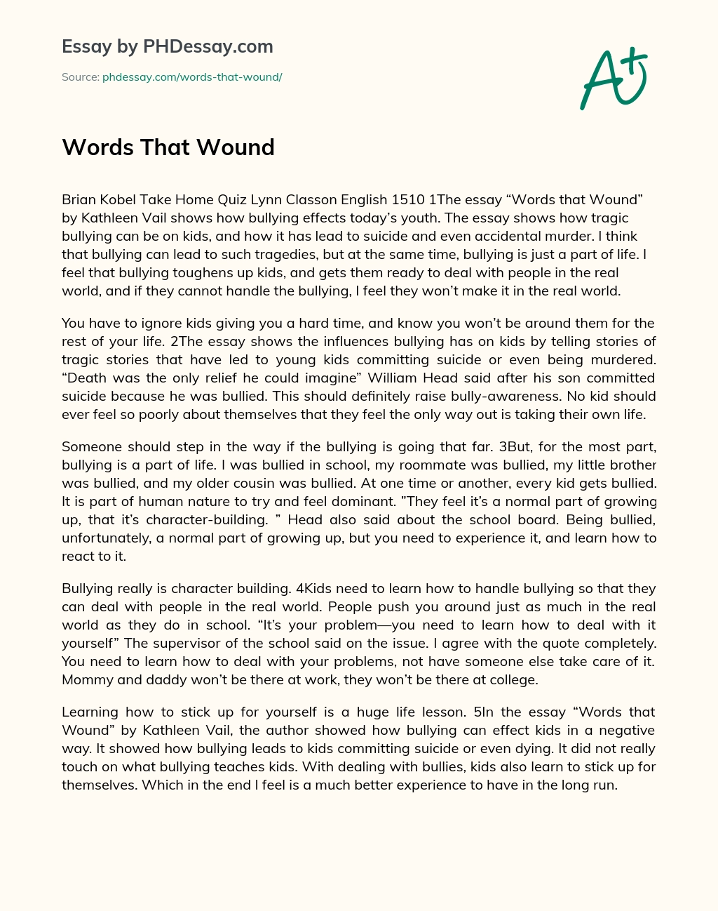 Words That Wound essay