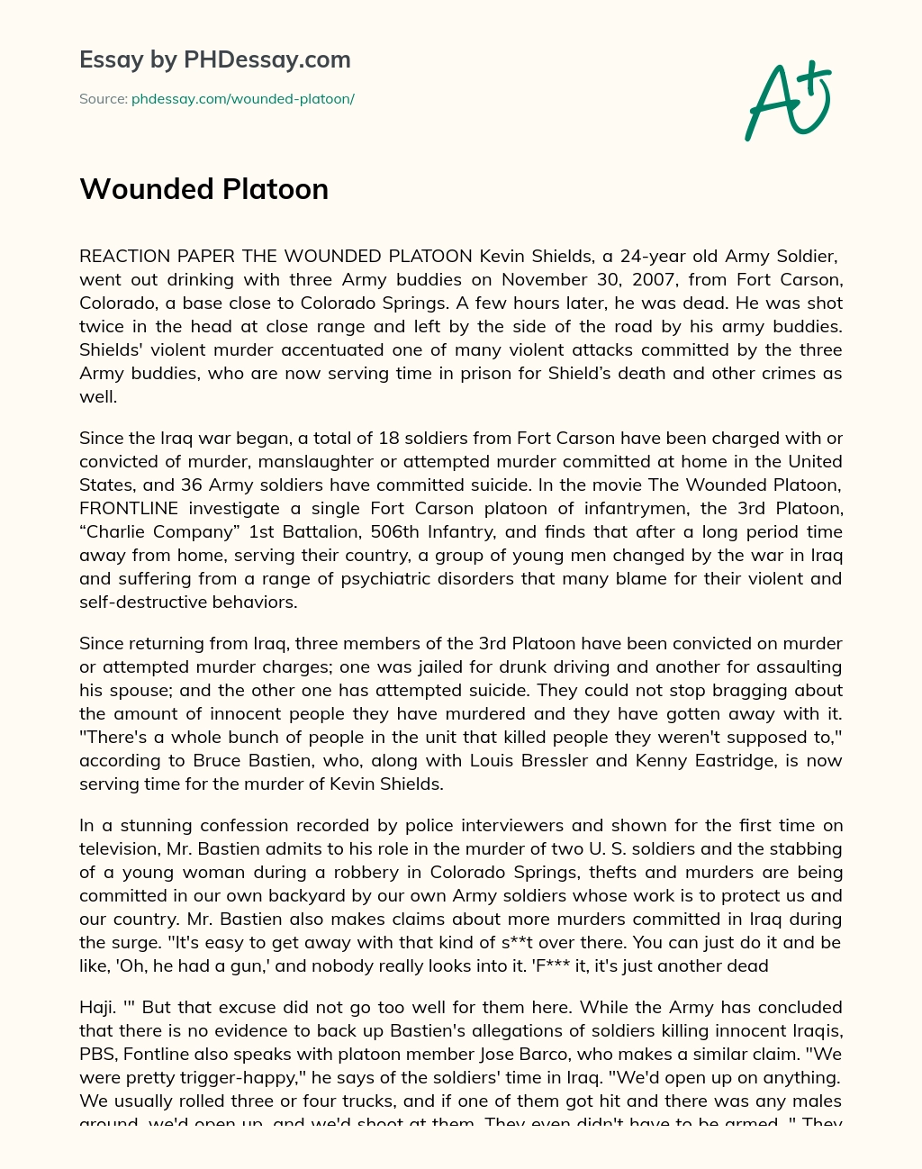 Wounded Platoon essay