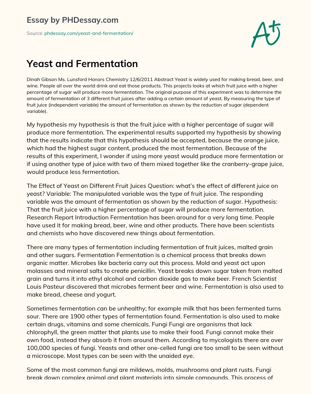 Yeast and Fermentation essay